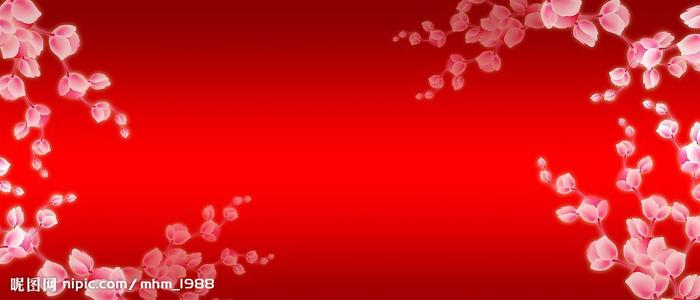 足利工科大学Diploma in Finance